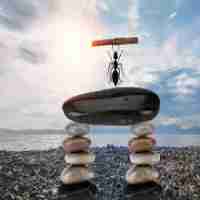 python程‌序﻿运‌行﻿要‍联﻿网﻿吗‌